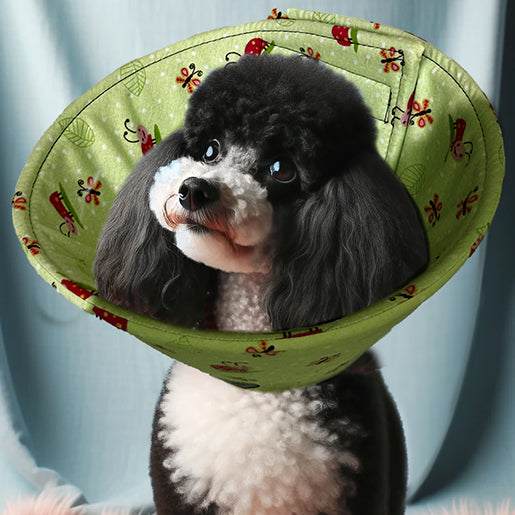 poodle wearing a ladybug fabric Soft Cone for Dogs