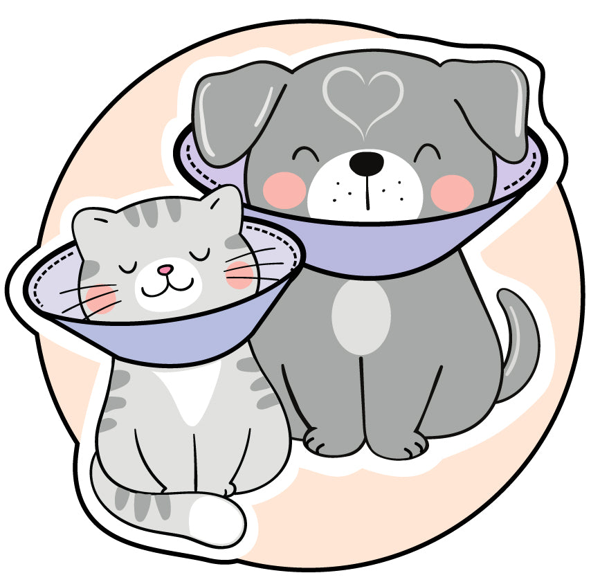 Round logo for Loving Embrace Collars with a dog and cat wearing soft cones