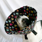 Dog in a soft foam flannel recovery cone in pawprint splatter pattern. Lightweight, comfy e-collar alternative for post-surgery care.