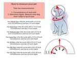 How to measure for your soft dog cone, or elizabethan collar. 